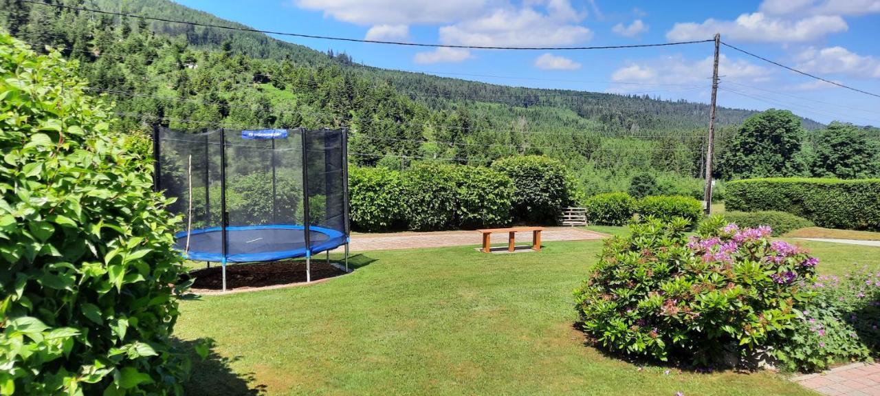 Chalet Les Marmottons Sauna Pool Table, Nintendo, Petanque Gerbépal Exteriör bild